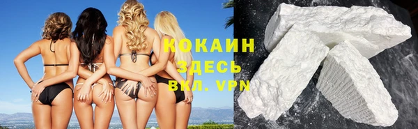 крисы Дмитров