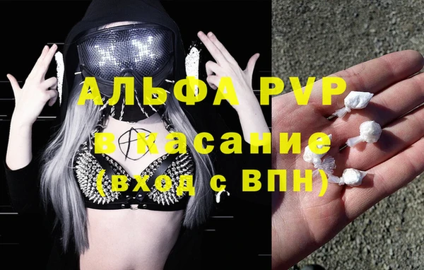 крисы Дмитров