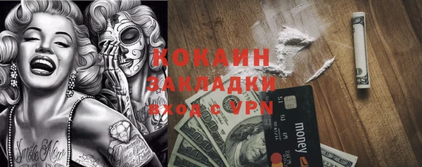 крисы Дмитров