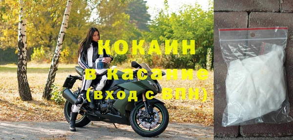 крисы Дмитров