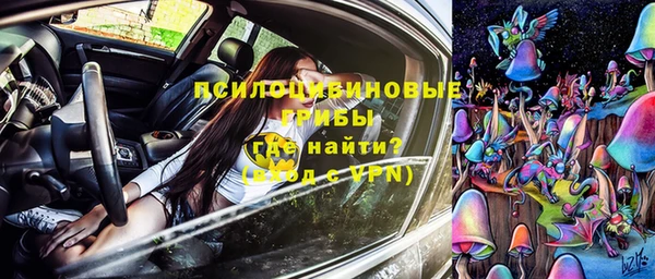 крисы Дмитров