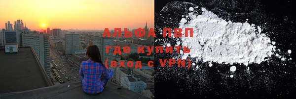 крисы Дмитров